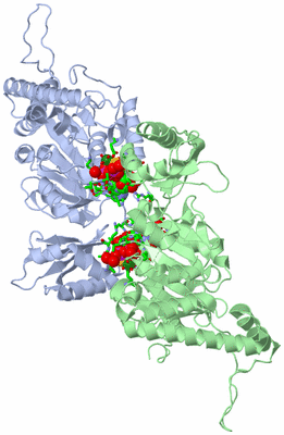 Image Asym./Biol. Unit - sites