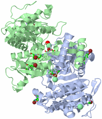 Image Asym./Biol. Unit - sites