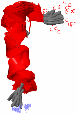 Image NMR Structure - all models