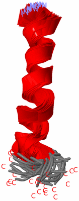 Image NMR Structure - all models