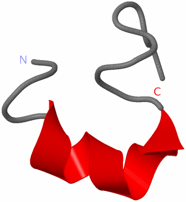 Image NMR Structure - model 1