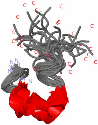 Image NMR Structure - all models