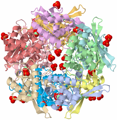 Image Asym./Biol. Unit