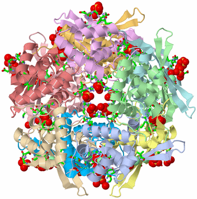 Image Asym./Biol. Unit - sites