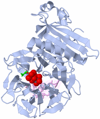 Image Biol. Unit 1 - sites