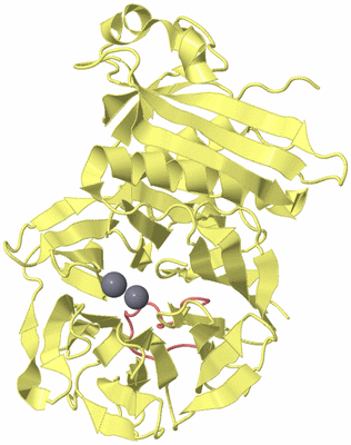 Image Biological Unit 4