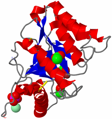 Image Asym./Biol. Unit