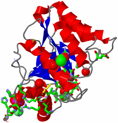 Image Asym./Biol. Unit - sites