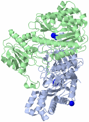 Image Asym./Biol. Unit