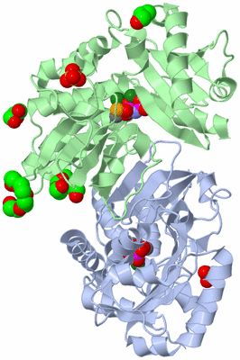 Image Asym./Biol. Unit