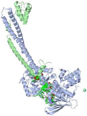 Image Asym./Biol. Unit - sites