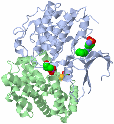 Image Biological Unit 1