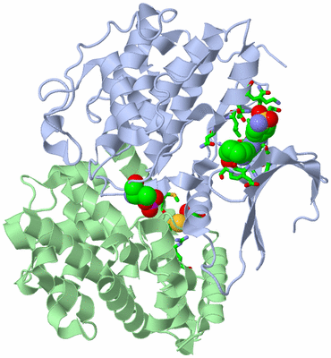 Image Biol. Unit 1 - sites