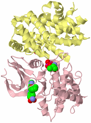 Image Biological Unit 2