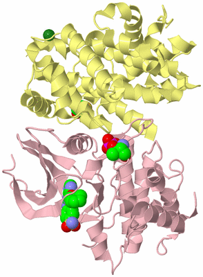 Image Biological Unit 1