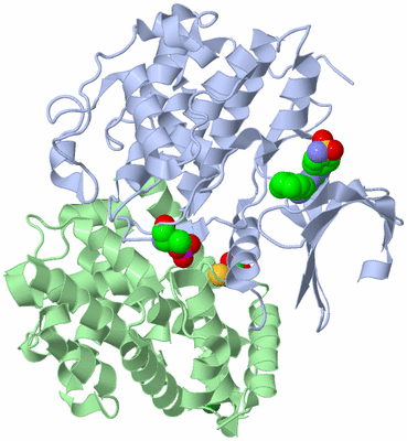 Image Biological Unit 2