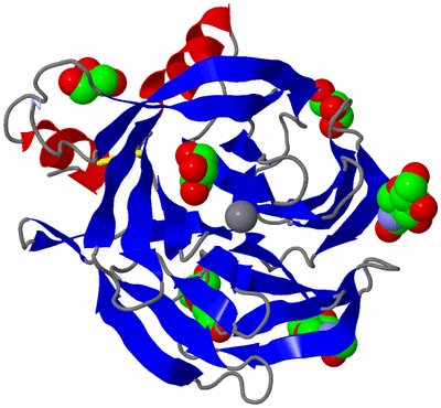 Image Asym./Biol. Unit