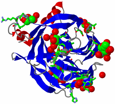 Image Asym./Biol. Unit - sites