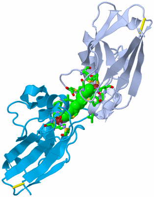 Image Biol. Unit 1 - sites