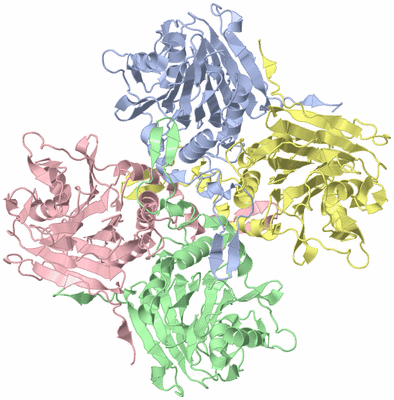 Image Asym./Biol. Unit