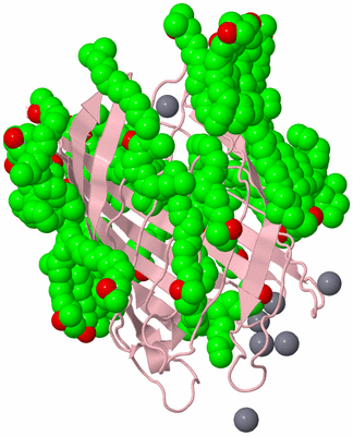 Image Biological Unit 3