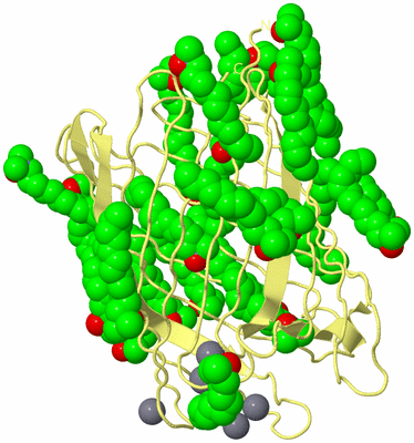 Image Biological Unit 4