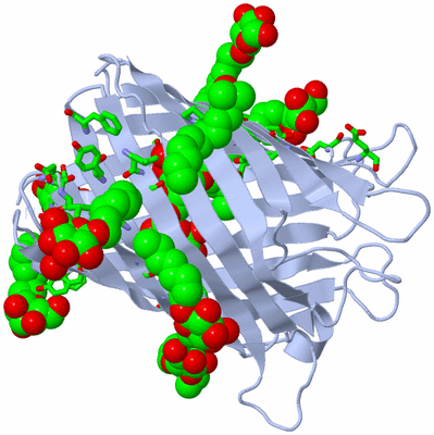 Image Biol. Unit 1 - sites