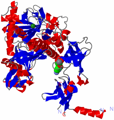 Image Asym./Biol. Unit