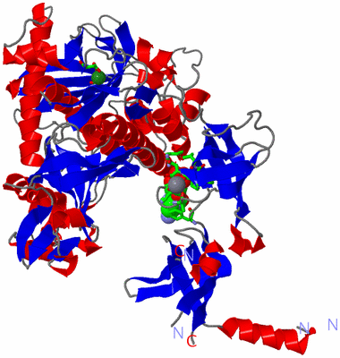 Image Asym./Biol. Unit - sites