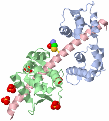 Image Asym./Biol. Unit