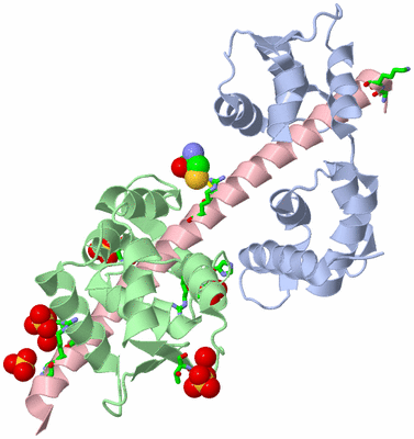 Image Asym./Biol. Unit - sites