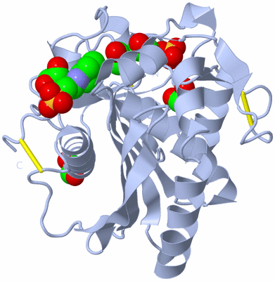 Image Biological Unit 1