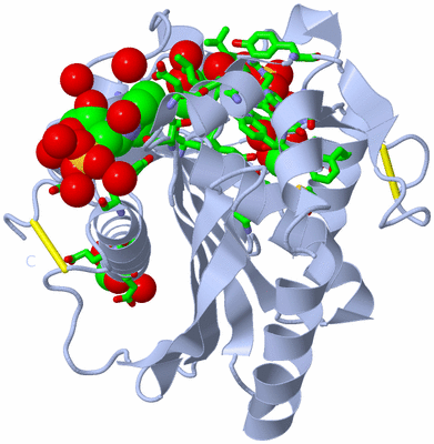 Image Biol. Unit 1 - sites