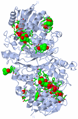 Image Biol. Unit 1 - sites