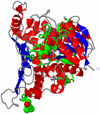 Image Asym. Unit - sites