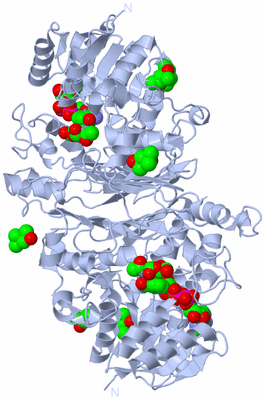 Image Biological Unit 1