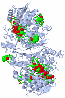 Image Biol. Unit 1 - sites