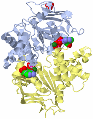 Image Asym./Biol. Unit