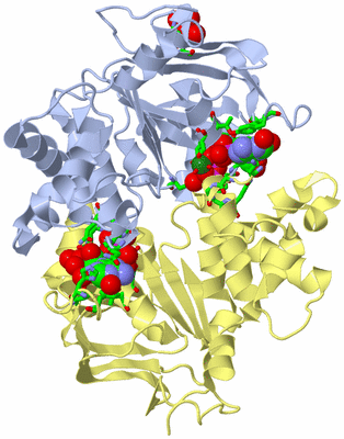 Image Asym./Biol. Unit - sites