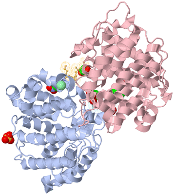 Image Biological Unit 1