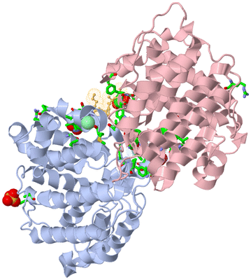 Image Biol. Unit 1 - sites