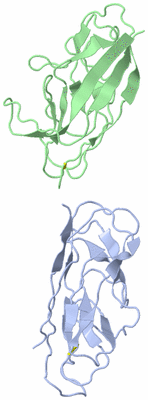 Image NMR Structure - model 1