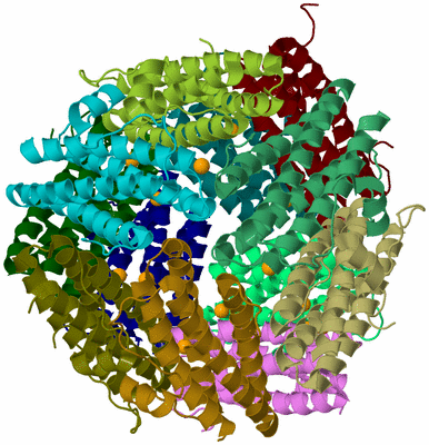 Image Biological Unit 2