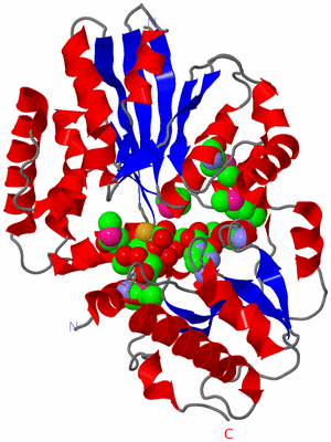 Image Asym./Biol. Unit