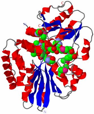 Image Asym./Biol. Unit