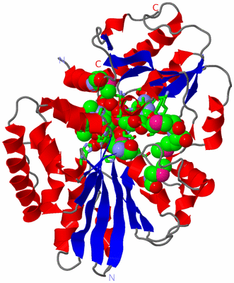 Image Asym./Biol. Unit - sites