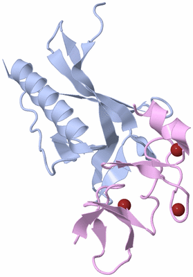 Image Biological Unit 1