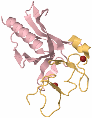 Image Biological Unit 3