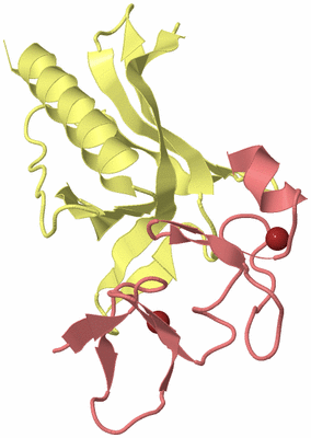 Image Biological Unit 4