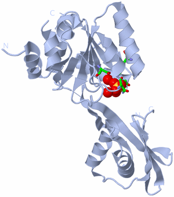 Image Biol. Unit 1 - sites